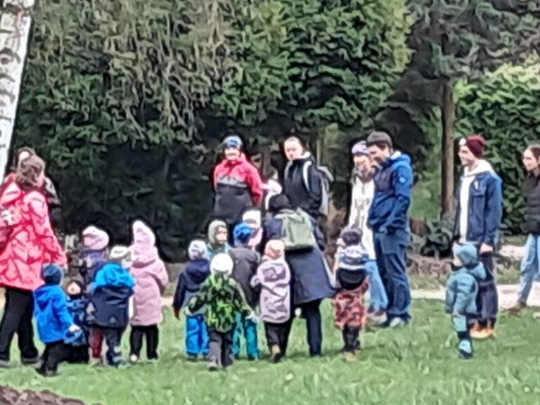 whatsapp image 2026 03 31 at 08.39.35 (4)