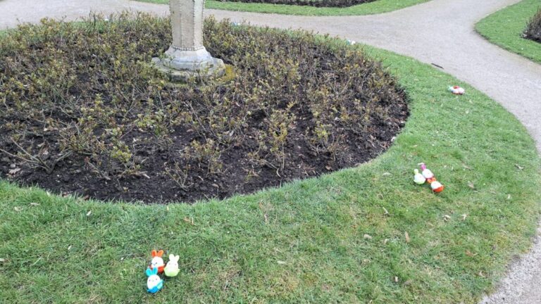 whatsapp image 2026 03 31 at 08.39.38 (1)